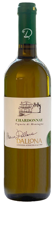 Chardonnay