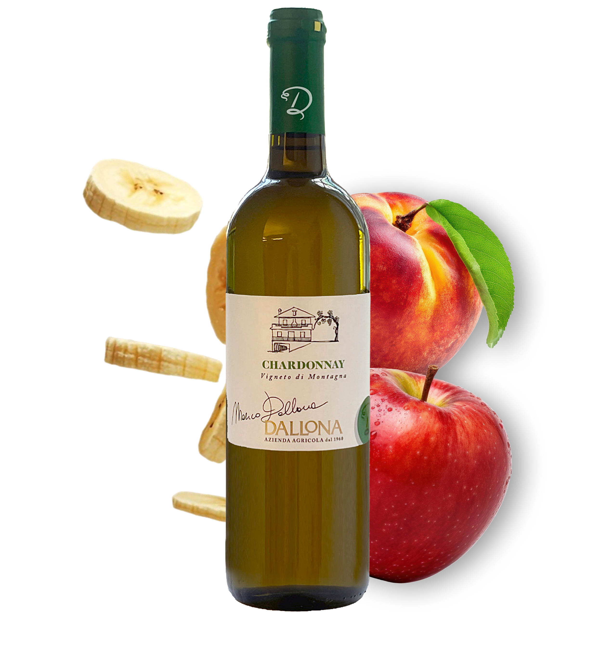 Chardonnay