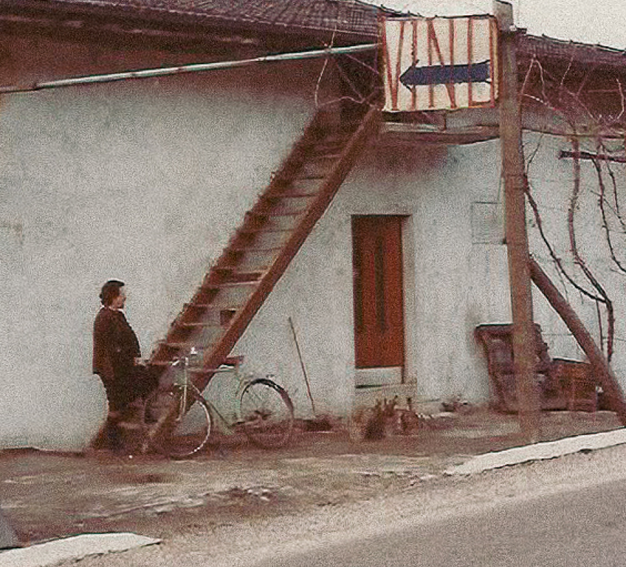 Azienda Agricola Dallona