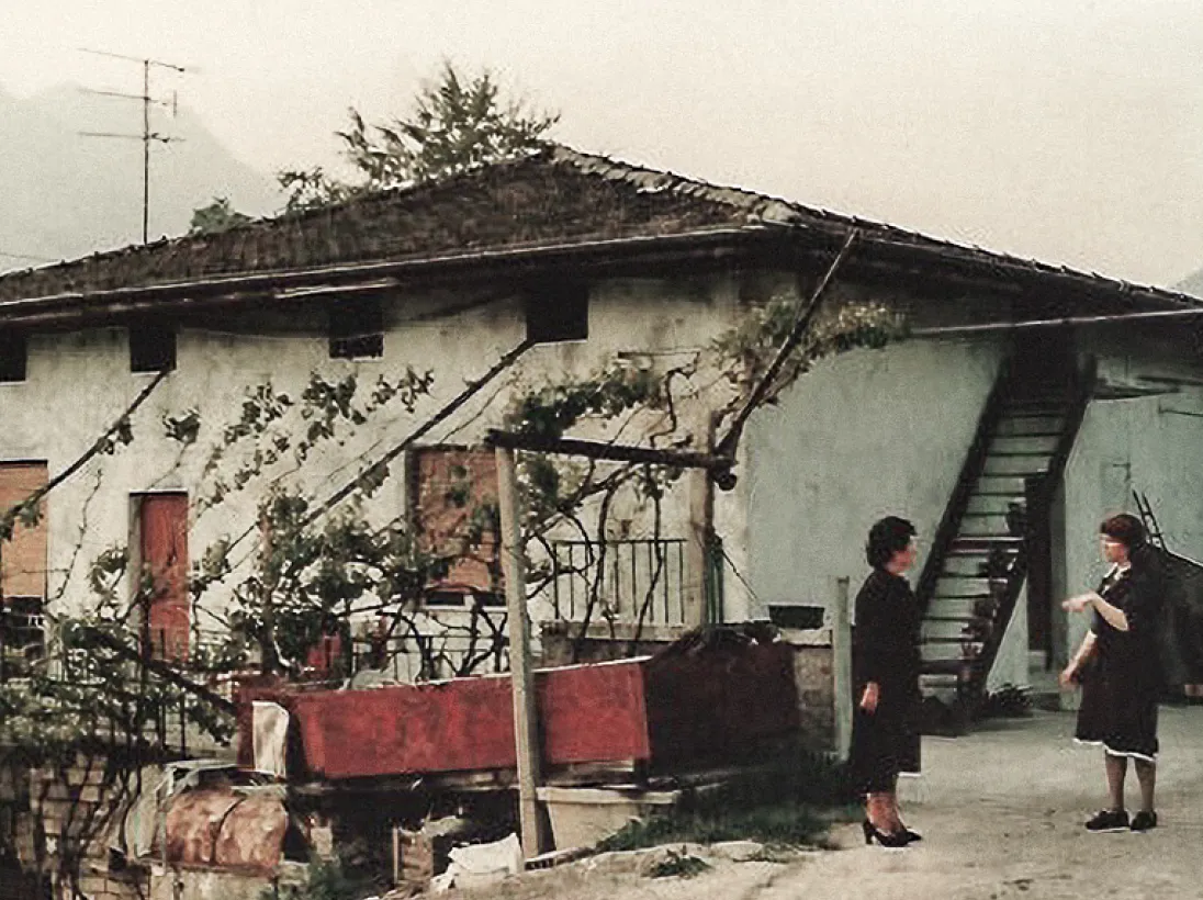 Azienda Agricola Dallona