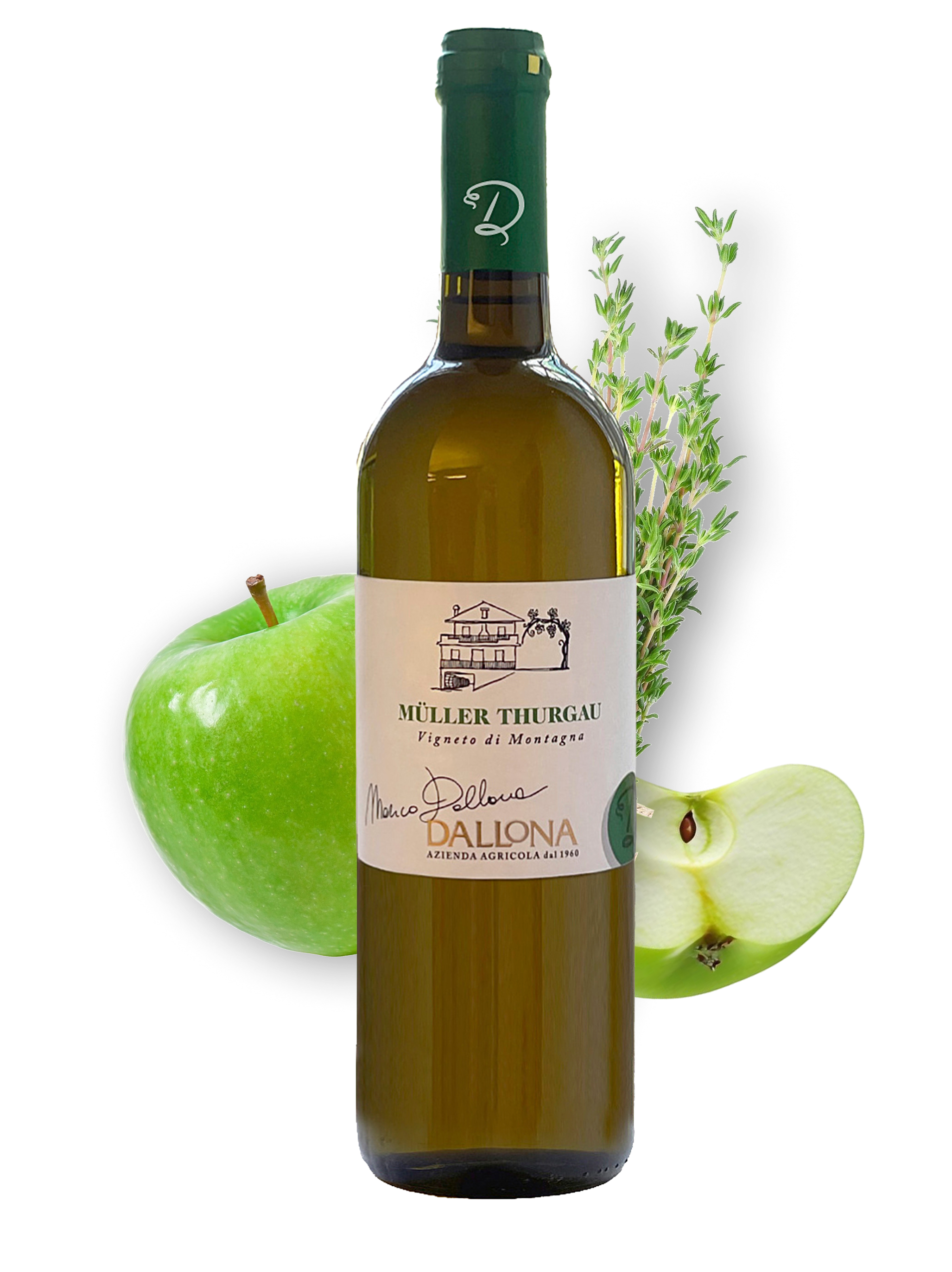 Müller Thurgau