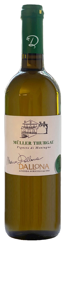 Müller Thurgau