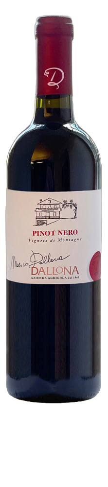 Pinot Nero