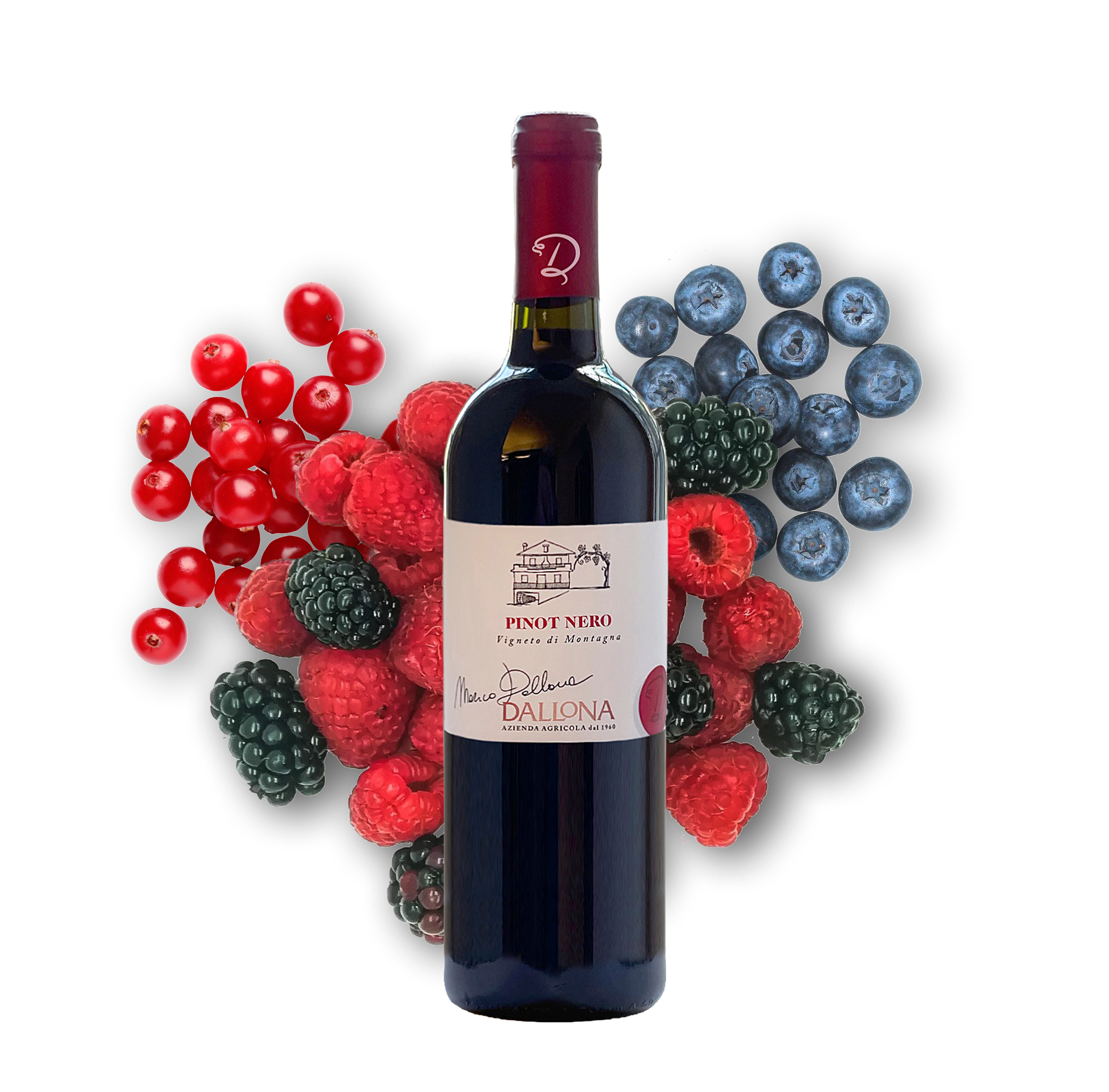 Pinot Nero
