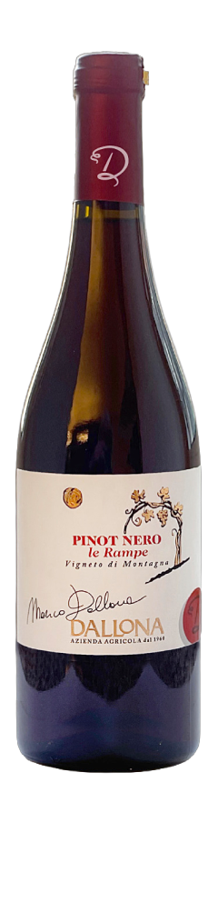 Pinot Nero