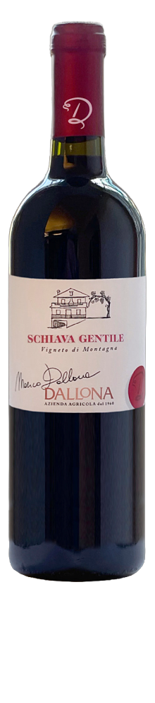 Schiava Gentile