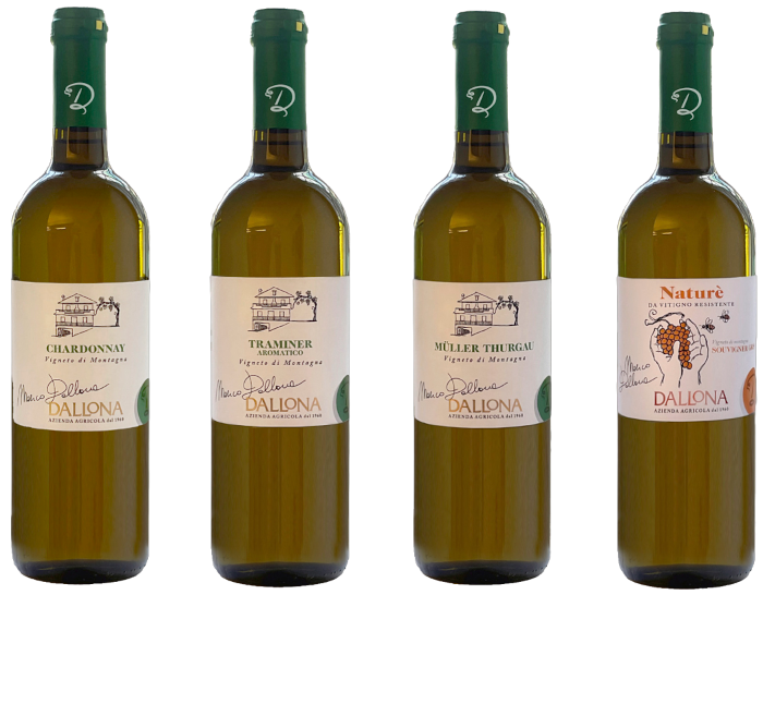 Immagine vini bianchi