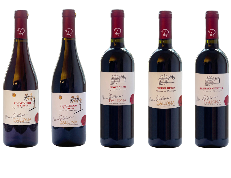 Immagine vini rossi